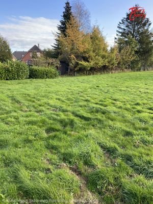 Blick auf das Grundstück