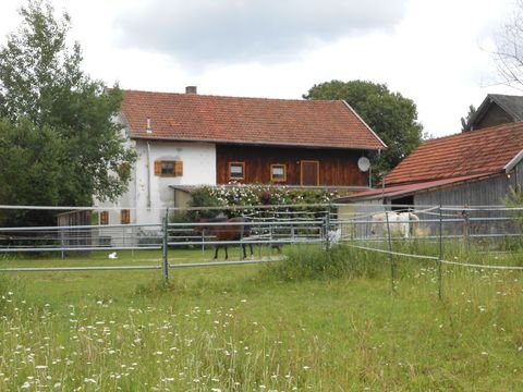 Schönau Bauernhöfe, Landwirtschaft, Schönau Forstwirtschaft