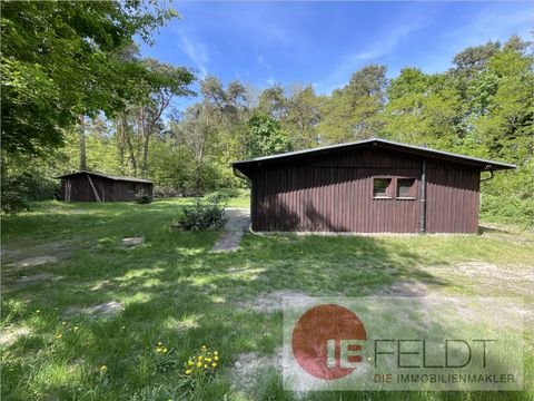 Groß Köris / Klein Köris Häuser, Groß Köris / Klein Köris Haus kaufen