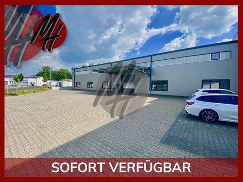 Seligenstadt Halle, Seligenstadt Hallenfläche