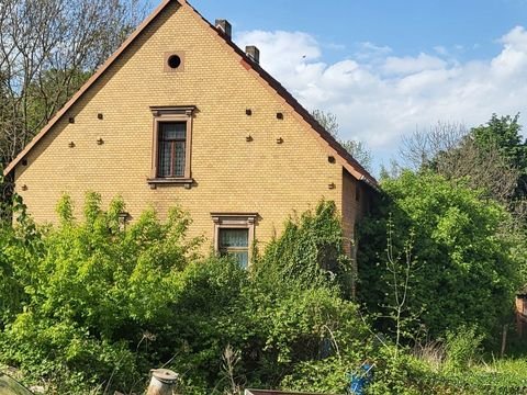 Teuchern Häuser, Teuchern Haus mieten 