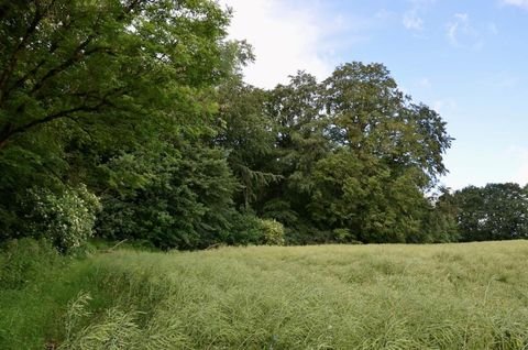 Papendorf Renditeobjekte, Mehrfamilienhäuser, Geschäftshäuser, Kapitalanlage