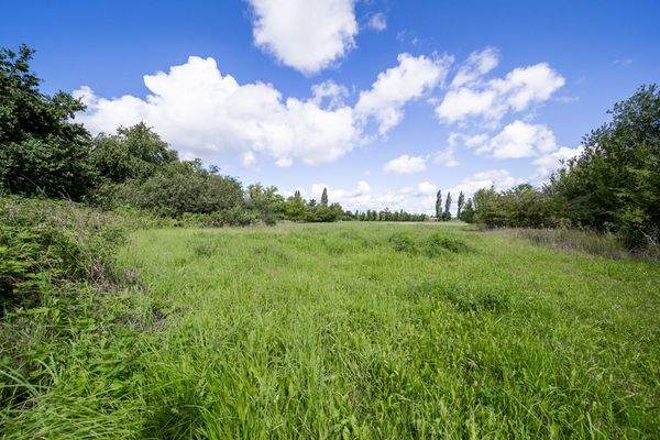 Großes_Mehrfamilienhaus_Bergedorf-71