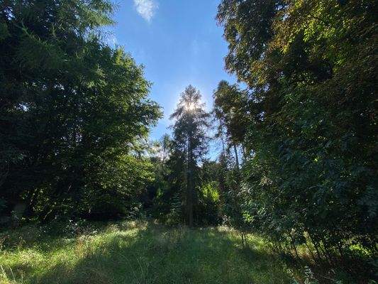 Schlosspark (10).JPG