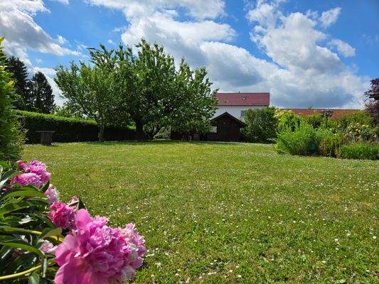Garten Blick zum Gartenhaus