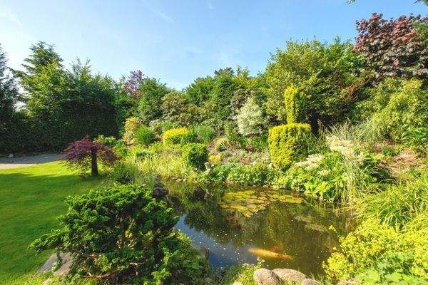 Und liebevoll angelegtem Koiteich