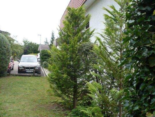 alles im GRÜNEN Bereich