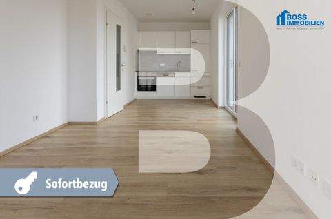 Traun Wohnungen, Traun Wohnung mieten