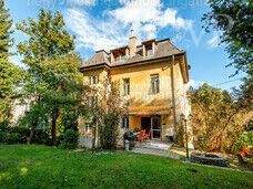 33786115_226795513_m(1)