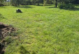 286f03c0-9c91-4cb5-a573-c150d48c829b