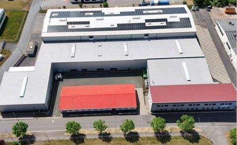 Barchfeld-Immelborn Halle, Barchfeld-Immelborn Hallenfläche