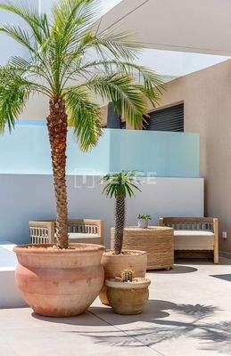 Semi-Detached Villas with Swimming Pools in Dolores Alicante