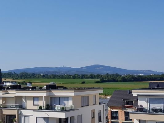 Blick von Dachterrasse nach Norden