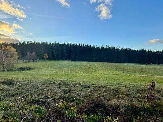 Wiesen-Grundstück