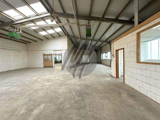 INFOS UNTER: 06171-586000