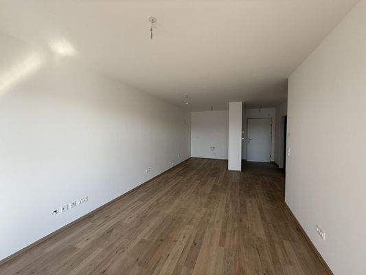 Haus_1_Top_11_Wohn_und_Küchenbereich