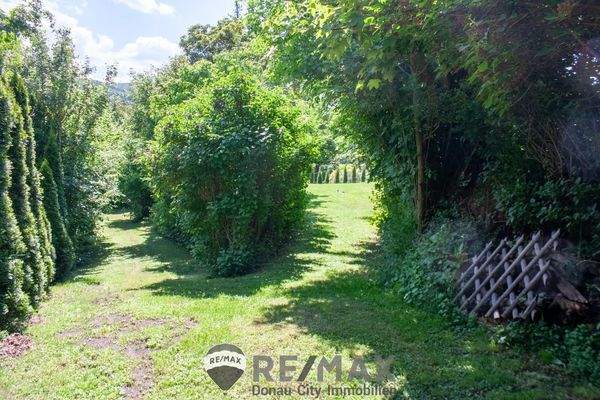 Gartenimpressionen 4