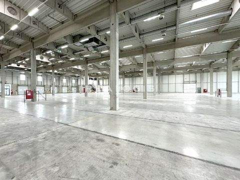 Wiesloch Halle, Wiesloch Hallenfläche