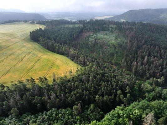 Luftaufnahme - Blick Richtung Süd-Osten