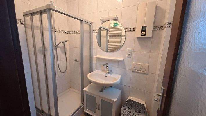 Gäste-WC mit Dusche (EG)