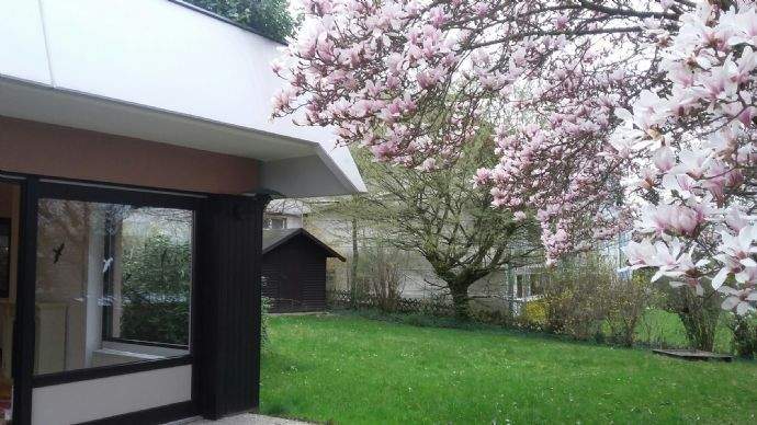 "eigener" Garten, Bild 2