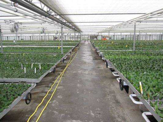 Erweiterbare Flächen