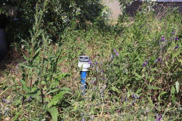 2025 - Frauenhagen (1).jpg