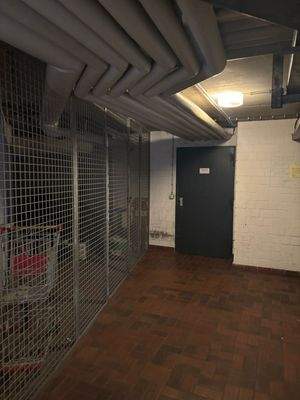 WhatsApp Image 2025-11-14 at 17.31.10 (1)