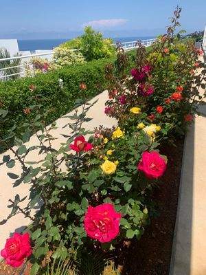 PHOTO-2025-07-04-15-19-24 (3).jpg