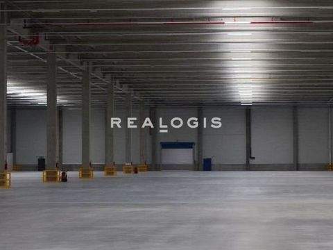 Neustadt an der Donau Halle, Neustadt an der Donau Hallenfläche