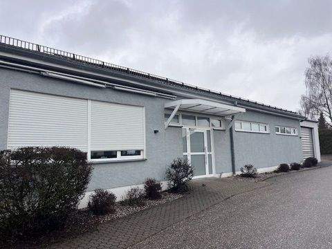 Ursensollen Halle, Ursensollen Hallenfläche