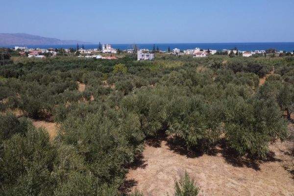 Kreta, Maleme: Villa in mediterraner Anlage mit Olivenhain und Meerblick zu verkaufen