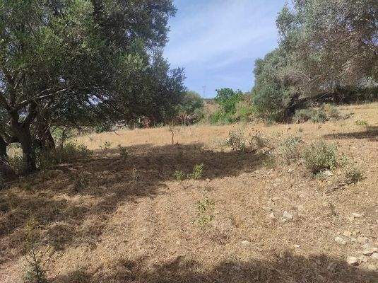 Kreta, Karoti: Grundstück mit Baugenehmigung und atemberaubendem Bergblick zu verkaufen