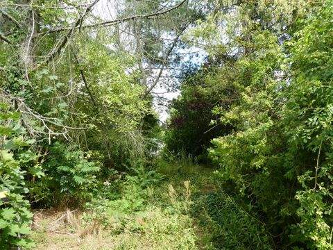 Fredersdorf-Vogelsdorf Grundstücke, Fredersdorf-Vogelsdorf Grundstück kaufen