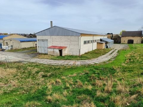 Döbeln Halle, Döbeln Hallenfläche