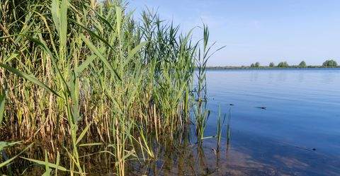 Waren (Region) Gastronomie, Pacht, Gaststätten