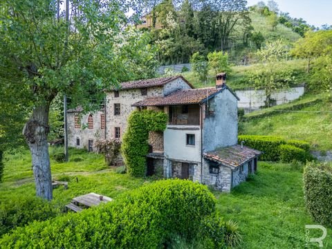 Gallicano Häuser, Gallicano Haus kaufen