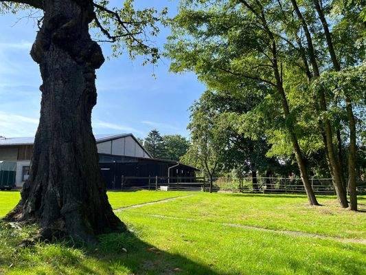 **Stallansicht_KBR_393