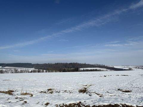 Pilsting Bauernhöfe, Landwirtschaft, Pilsting Forstwirtschaft