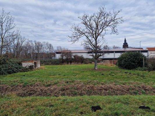 Garten hinter dem Haus