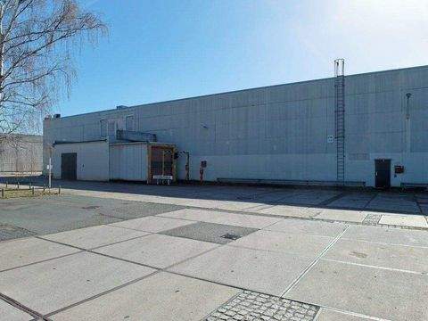 Berlin Halle, Berlin Hallenfläche