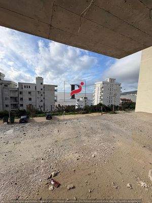 WhatsApp Image 2025-11-24 at 11.26.42.jpeg