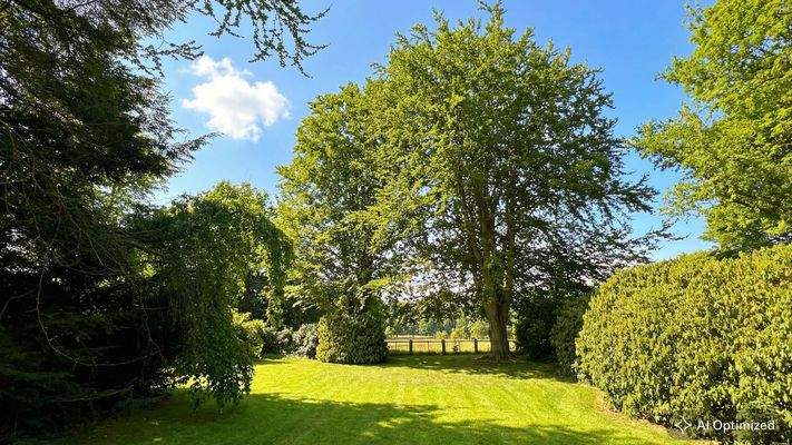 [KI-optimiertes Foto] Ausblick auf Garten und angrenzende Felder