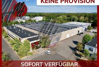 INFOS UNTER: 06171-586000