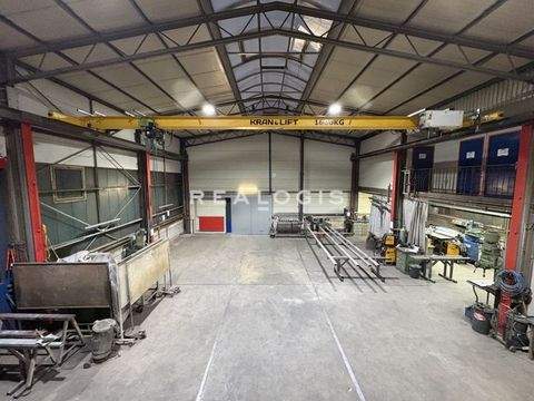 Korntal-Münchingen Halle, Korntal-Münchingen Hallenfläche