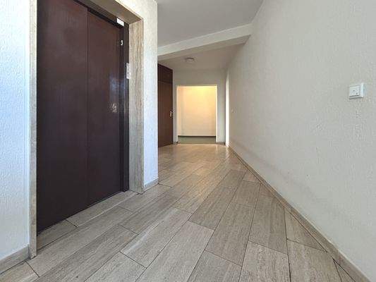 EG Eingangsbereich / Aufzug