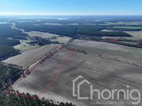 Brandenburg an der Havel Bauernhöfe, Landwirtschaft, Brandenburg an der Havel Forstwirtschaft