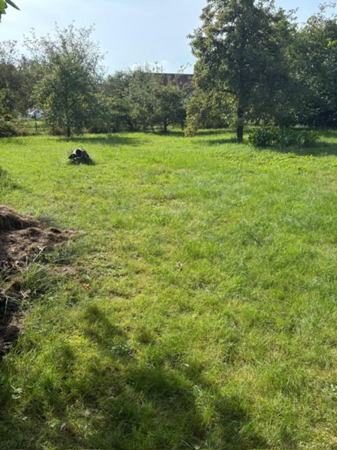 Leipheim Grundstücke, Leipheim Grundstück kaufen