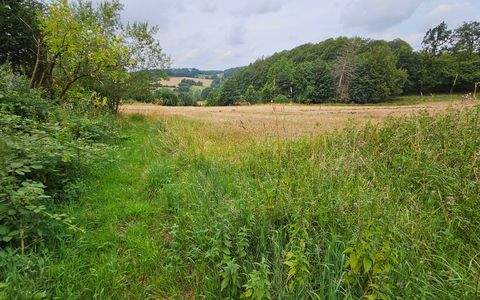 Kalletal Häuser, Kalletal Haus kaufen