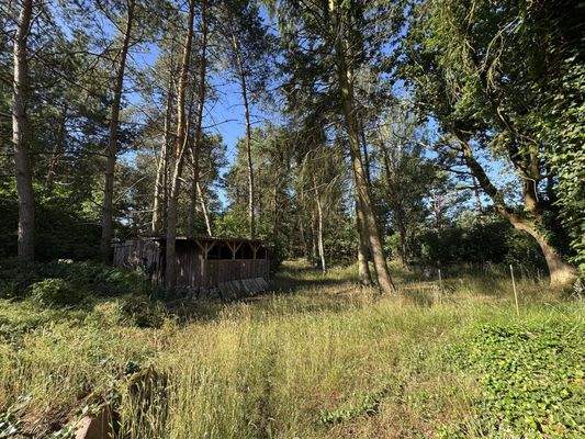 Blick zur Gartenhütte vom Waldgrundstück